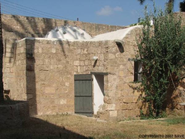 Mimari Özellikler  - Roof